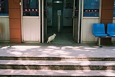 PlayStation 618嗨玩特惠开启 多款产品惊喜价加赠限量好礼